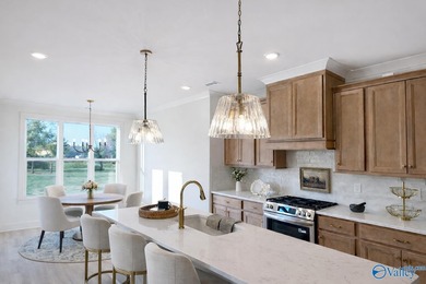 One of the largest lakefront lots in Guntersville in the - photo 4