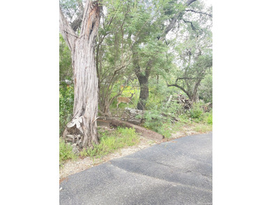 This 112ft wide waterfront lot is loaded with over 40 beautiful - photo 32