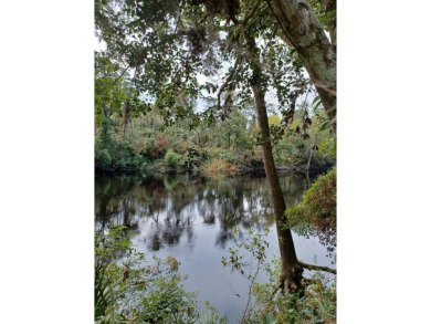 Lake Lot For Sale in Jasper, Florida