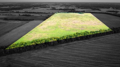 (private lake, pond, creek) Acreage For Sale in Brookston Texas