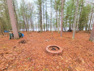 Elanore Lake Lot For Sale in Phelps Wisconsin