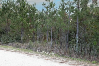 TWO Parcels-NO HOA or Restrictions!!! This beautifully wooded - photo 5