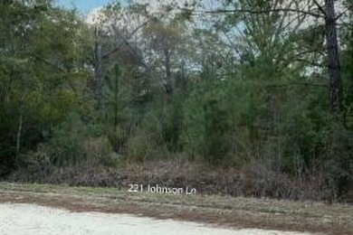 TWO Parcels-NO HOA or Restrictions!!! This beautifully wooded - photo 8