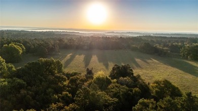 (private lake, pond, creek) Acreage Active Under Contract in Oakwood Texas