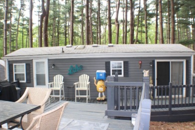 Adorable Valley of the Pines Getaway! - photo 23