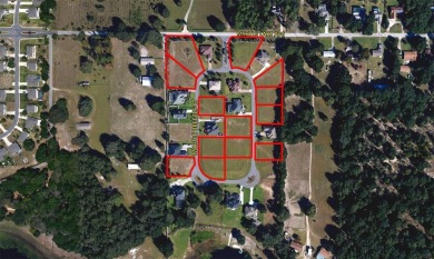 Lake Lot For Sale in Fruitland Park, Florida