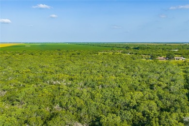 10+/- acres on Lake Corpus Christi o?ering approximately 4 - photo 15