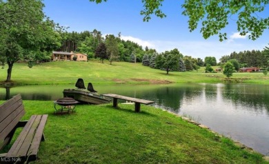 Lake Home For Sale in Lisbon, Ohio