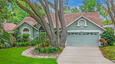 Lake Tarpon Home For Sale in Palm Harbor Florida
