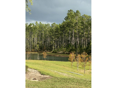 BUILD YOUR OWN HOMESTEAD PARADISE ON 18.57 ACRES!!!Includes your - photo 7