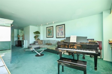 Spacious and sun-filled 2 bedroom, 2 bathroom corner coop - photo 10