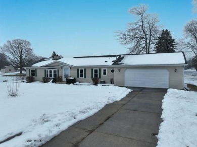 Lake Shamrock Home Sale Pending in Clare Michigan