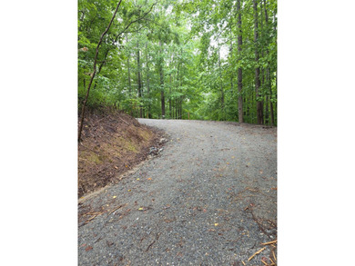 Hidden Lake Lot For Sale in Nebo North Carolina