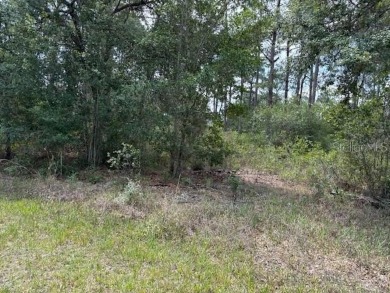 Lake Lot For Sale in Indian Lake Estates, Florida