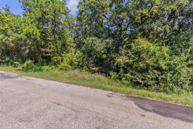 Lake Granbury Lot For Sale in Granbury Texas