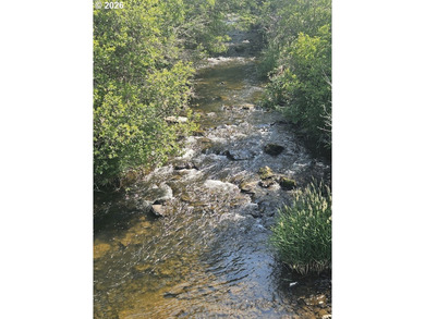 (private lake, pond, coastal) Acreage For Sale in Goldendale Washington