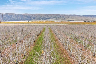 MLS# 289021 Rare opportunity to own 51.41 acres of highly - photo 16