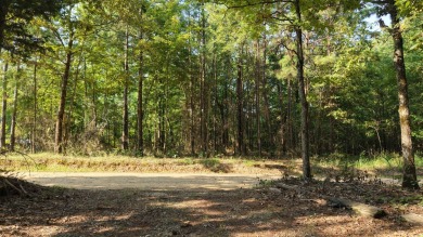 Lake Acreage For Sale in Hatfield, Arkansas