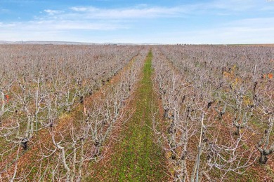 MLS# 289021 Rare opportunity to own 51.41 acres of highly - photo 32