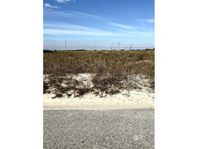 Discover a rare opportunity to own a huge second-tier lot in the - photo 2