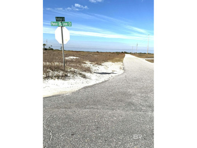 Discover a rare opportunity to own a huge second-tier lot in the - photo 5