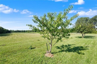 Escape to your own private countryside retreat with this 3 - photo 47