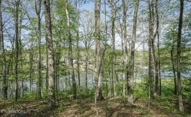 LAKE VIEW and GOLF FRONT Lot - photo 2