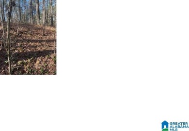 WONDERFUL BUILDING LOT. RESTRICTED TO SITE BUILT HOMES. LIMITED - photo 2