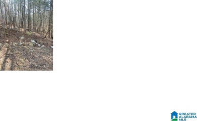 WONDERFUL BUILDING LOT. RESTRICTED TO SITE BUILT HOMES. LIMITED - photo 3
