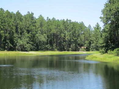 Beautiful lakefront lot on Cumberland Harbour Blvd. 103'x154' - photo 2