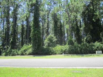 Beautiful lakefront lot on Cumberland Harbour Blvd. 103'x154' - photo 4