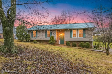 Holston River - Hawkins County Home For Sale in Rogersville Tennessee