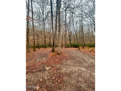 SELLER WILL CONSIDER SPLITTING PROPERTY. 296.42+/- Acres | - photo 3