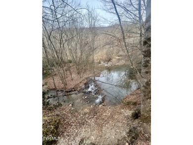 SELLER WILL CONSIDER SPLITTING PROPERTY. 296.42+/- Acres | - photo 4