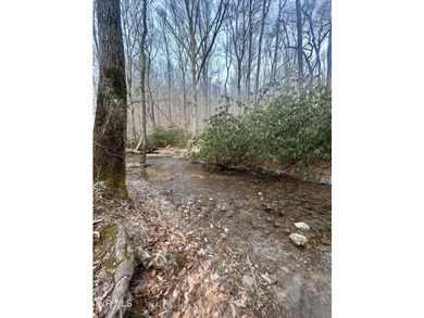 SELLER WILL CONSIDER SPLITTING PROPERTY. 296.42+/- Acres | - photo 5