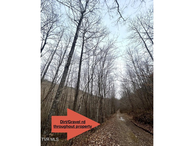 SELLER WILL CONSIDER SPLITTING PROPERTY. 296.42+/- Acres | - photo 6