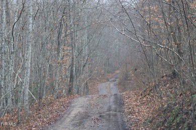 SELLER WILL CONSIDER SPLITTING PROPERTY. 296.42+/- Acres | - photo 8