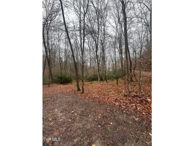 SELLER WILL CONSIDER SPLITTING PROPERTY. 296.42+/- Acres | - photo 9