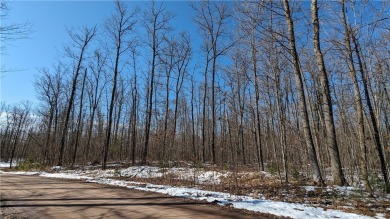 Lake Acreage For Sale in Hayward, Wisconsin