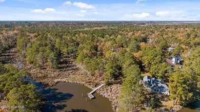 Beautiful 3-bedroom, 3-bath WATERFRONT home on two wooded lots - photo 12