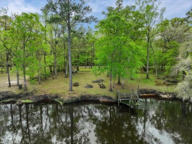 Suwannee River - Gilchrest County Lot For Sale in Bell Florida