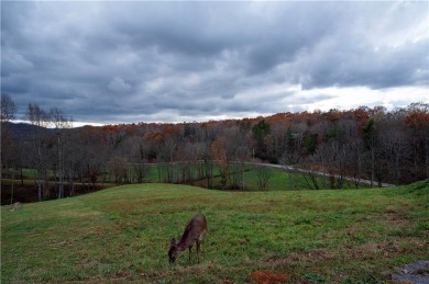 Lake Lot For Sale in Morganton, Georgia