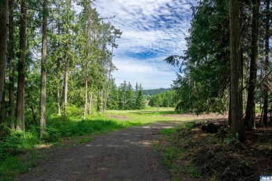 Lake Acreage For Sale in Sequim, Washington