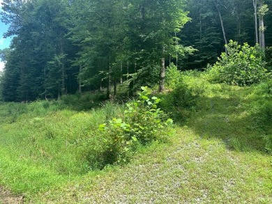 Summersville Lake Lot Sale Pending in Summersville West Virginia