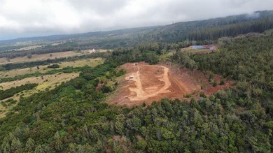 Located near the top of the Kahana Ahupua'a in West Maui, this - photo 12