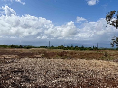 Located near the top of the Kahana Ahupua'a in West Maui, this - photo 13