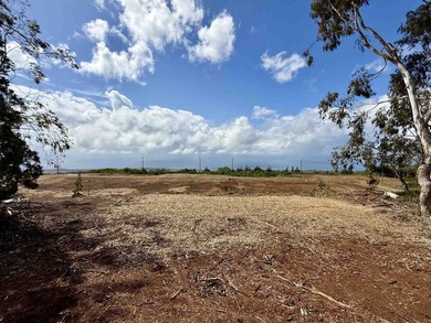 Located near the top of the Kahana Ahupua'a in West Maui, this - photo 14