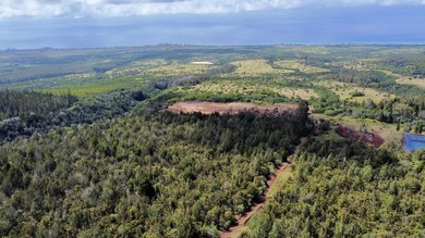 Located near the top of the Kahana Ahupua'a in West Maui, this - photo 15