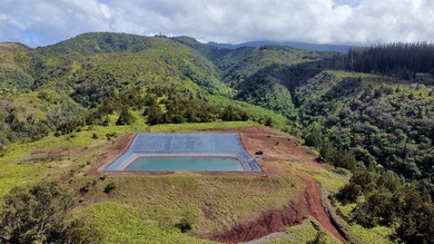 Located near the top of the Kahana Ahupua'a in West Maui, this - photo 16