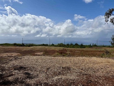 Located near the top of the Kahana Ahupua'a in West Maui, this - photo 18